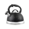 Stainless Steel Kettle 2.5L  Star Painting